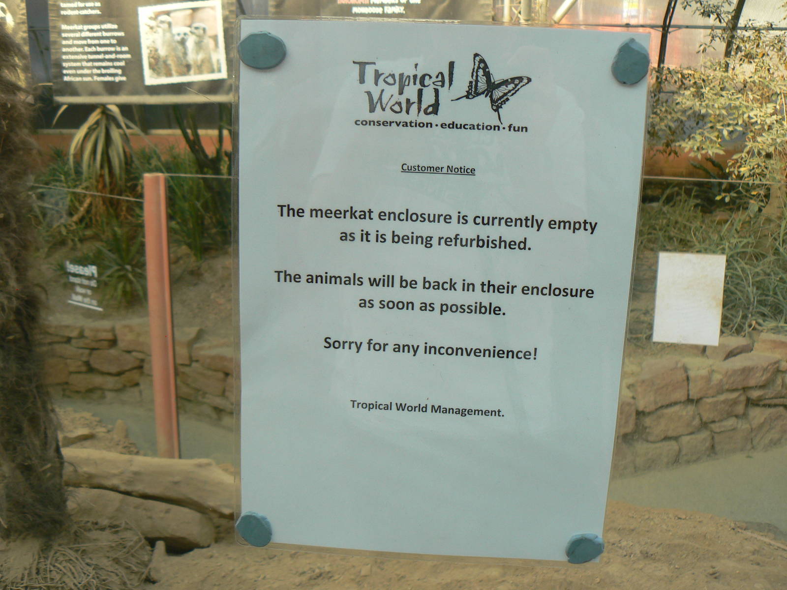 Notice On Meerkats