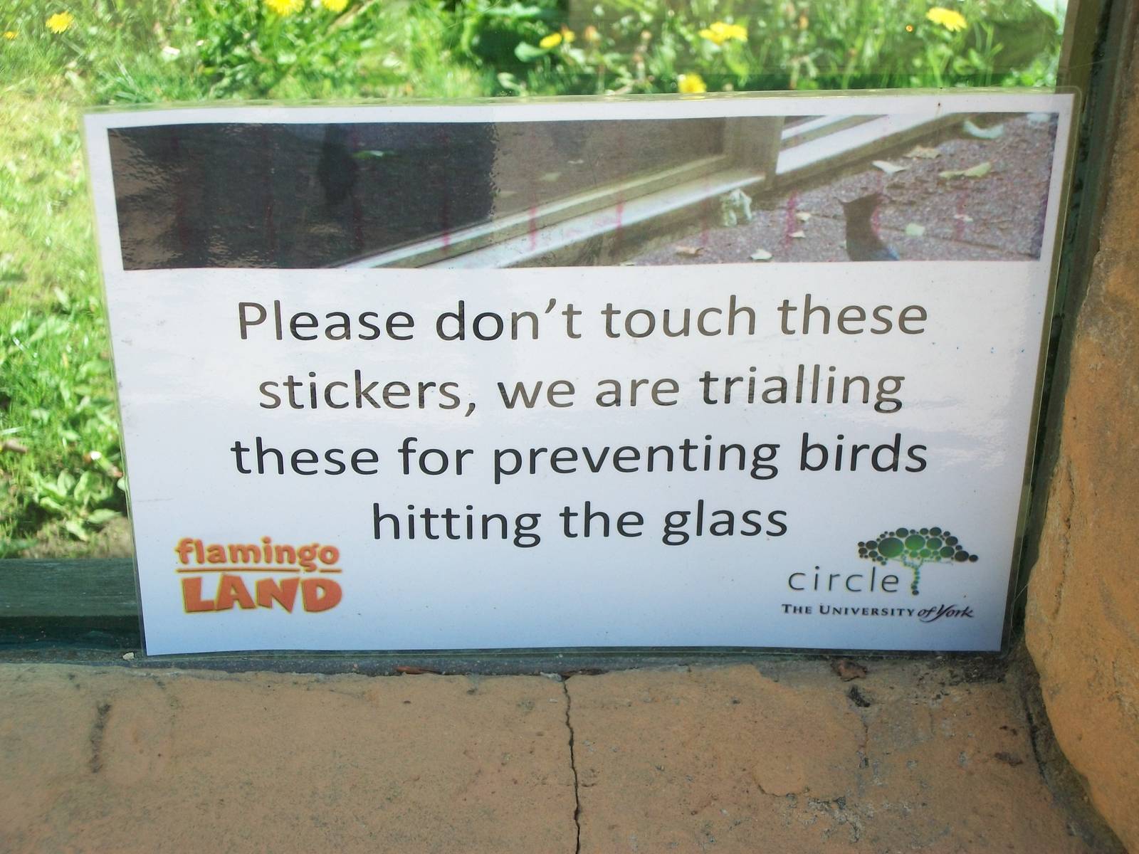 Notice on window of Tiger exhibit 31st May 2013