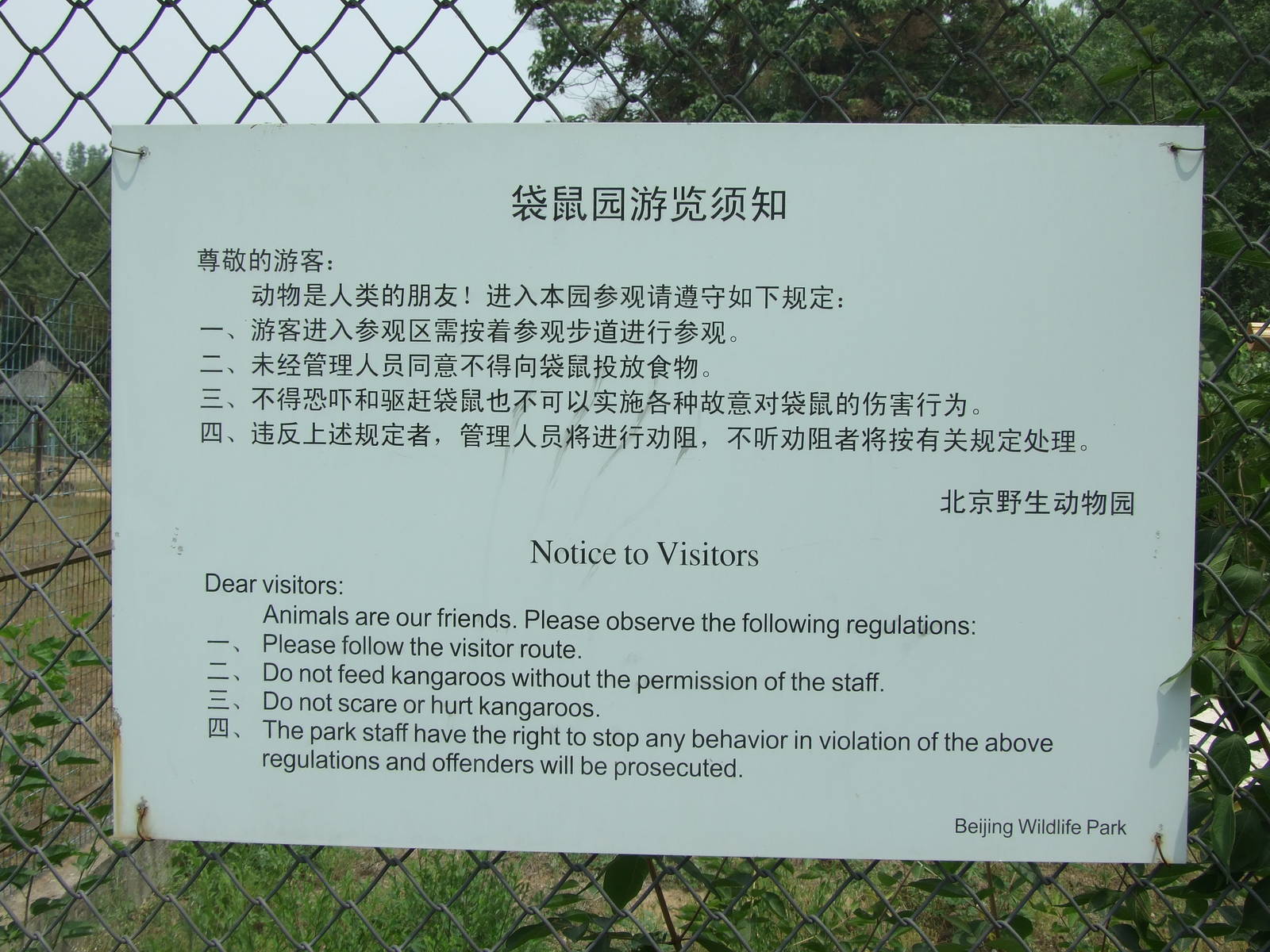 Notice to visitors of the kangaroo zone