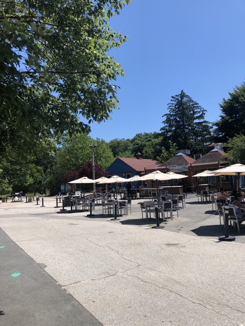 Nourish 401 Cafe - August, 2020