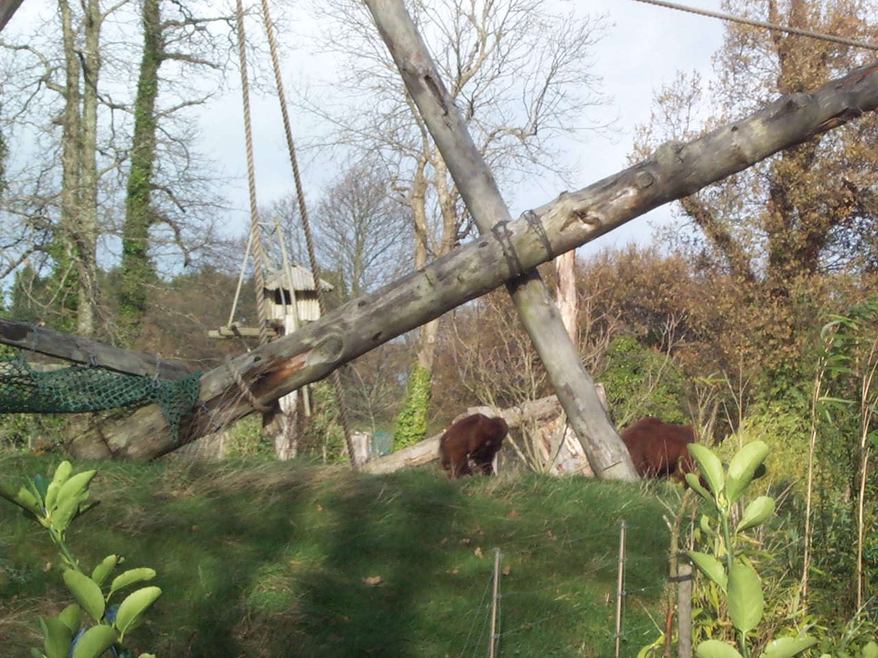 Nov 2000 orang island