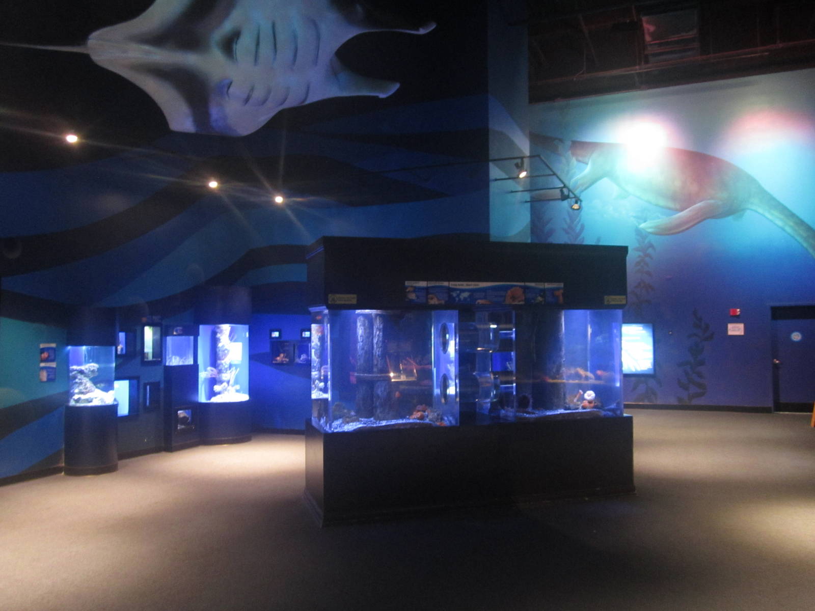 Nov. 2013 - Bizarre and Beautiful Gallery