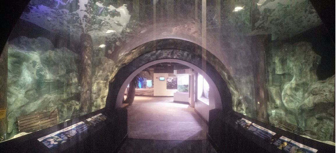 Nov. 2013 - Caribbean Cove Tunnel - Panorama