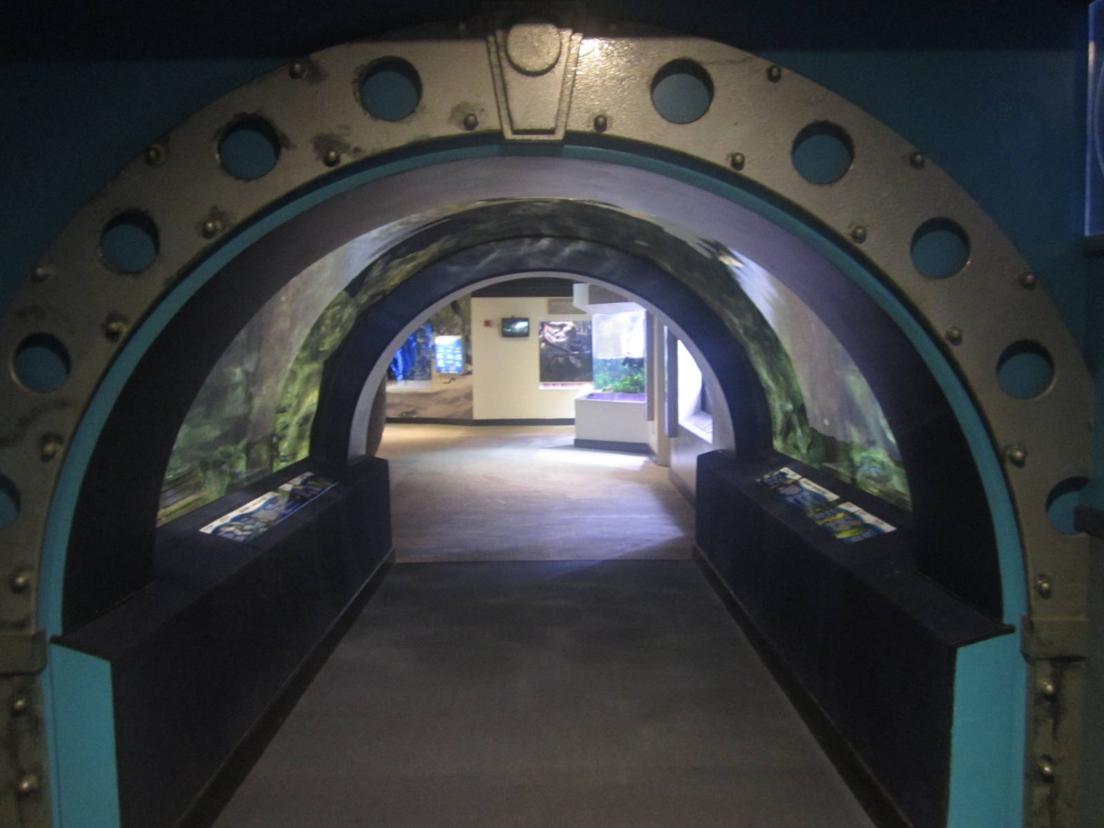 Nov. 2013  - Caribbean Cove Tunnel