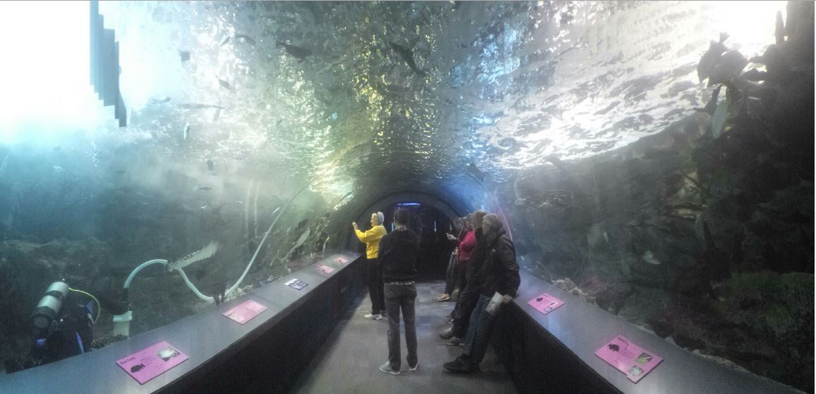 Nov. 2013 - Coral Reef - Panorama