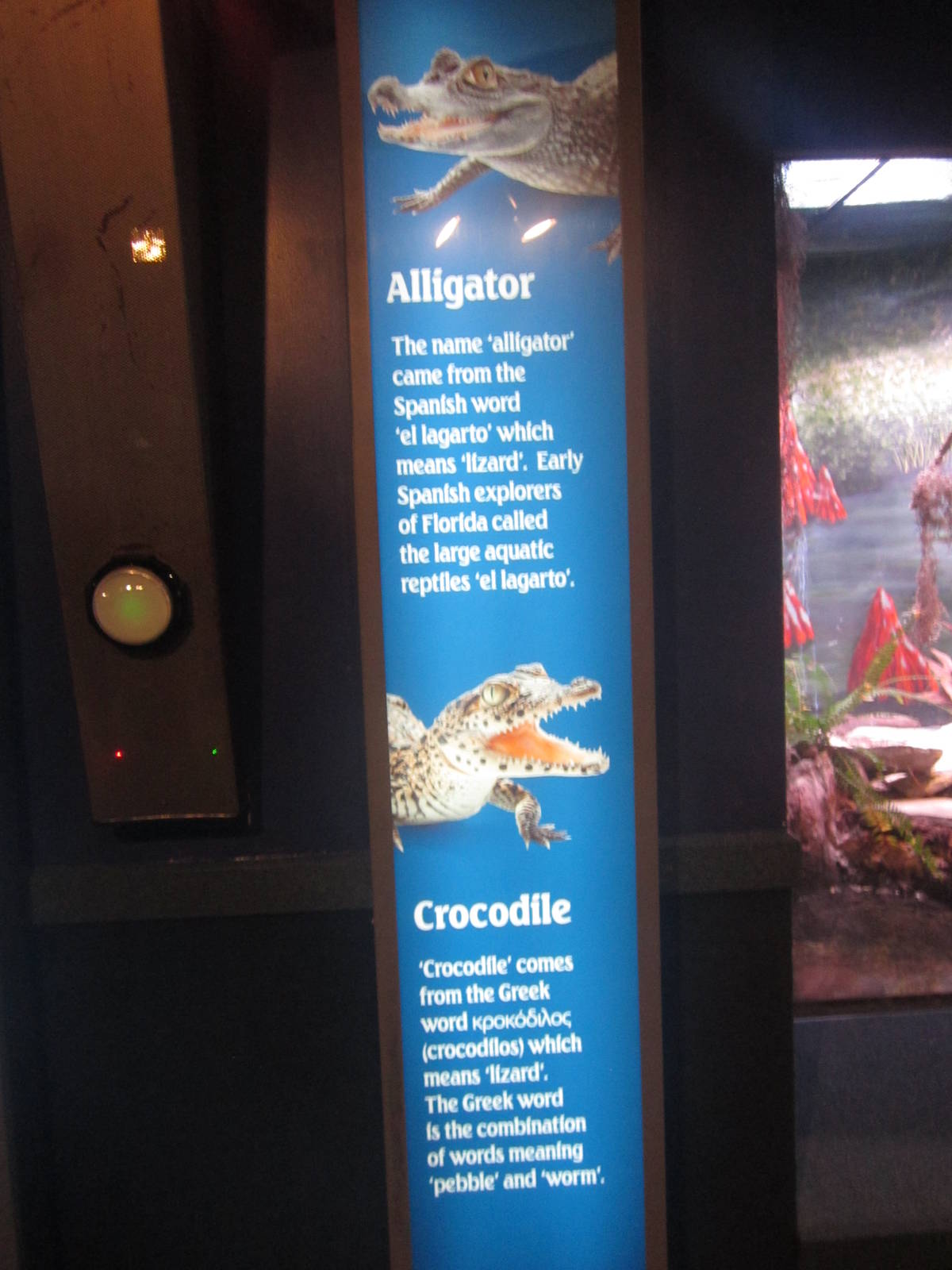 Nov. 2013 - Dangerous and Deadly - Alligator + Crocodile Sign