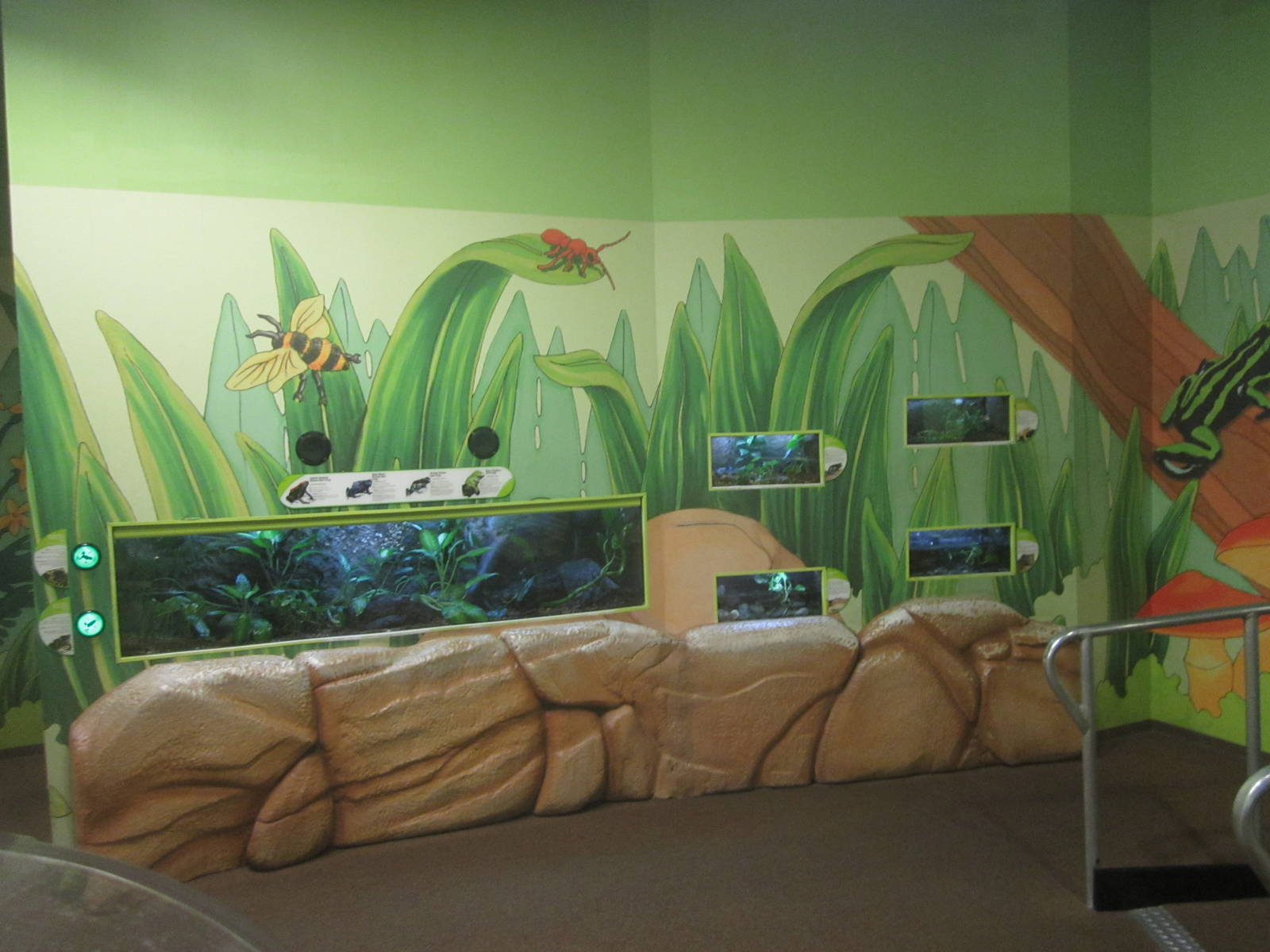 Nov. 2013 - Frog Bog - Wall Exhibits