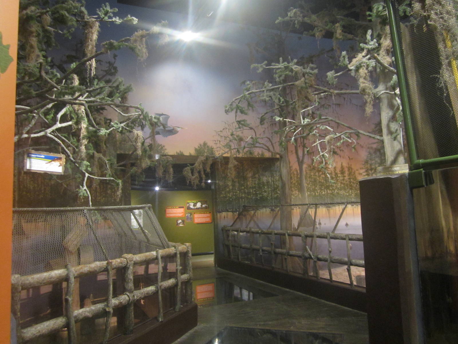 Nov. 2013 - Gator Alley - Orinoco Crocodile Exhibit