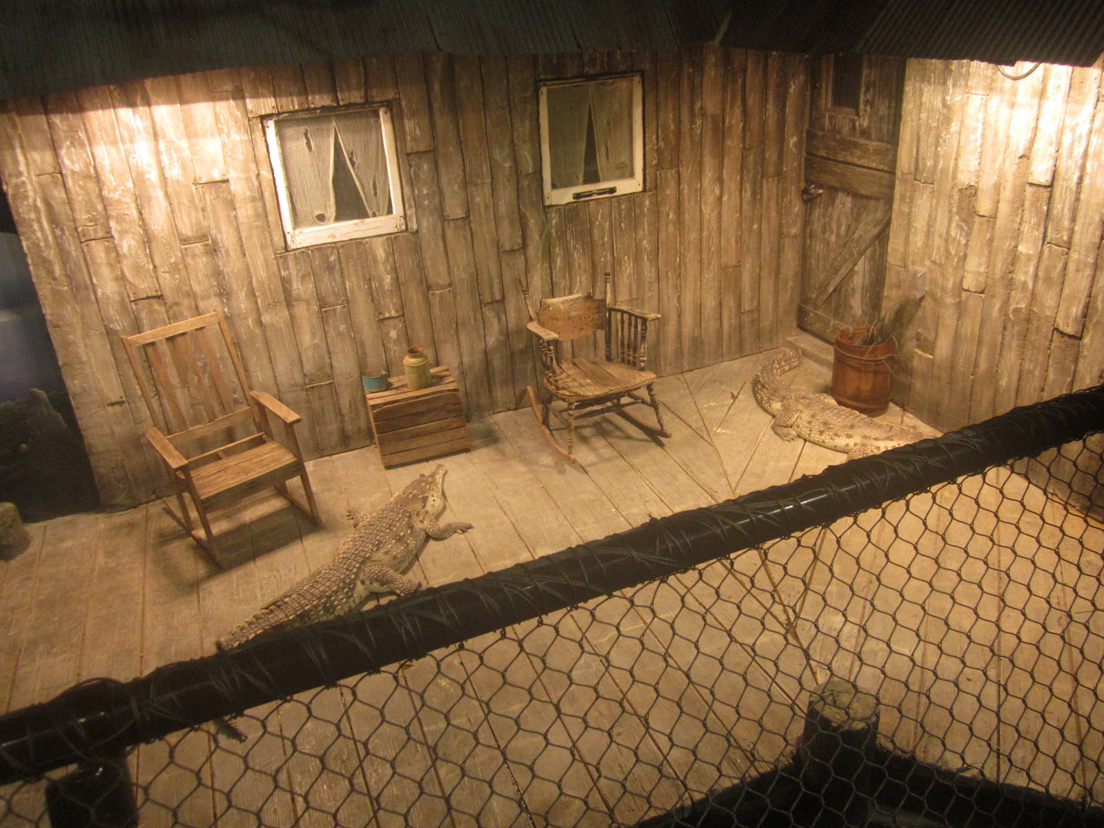 Nov. 2013 - Gator Alley - Orinoco Crocodile Exhibit