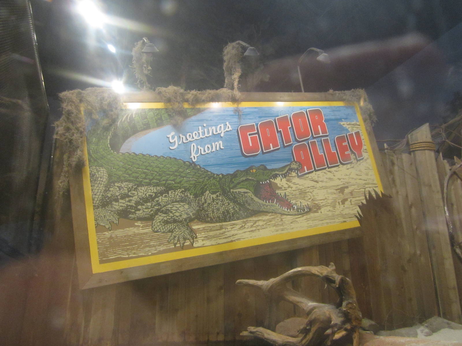 Nov. 2013 - Gator Alley Sign