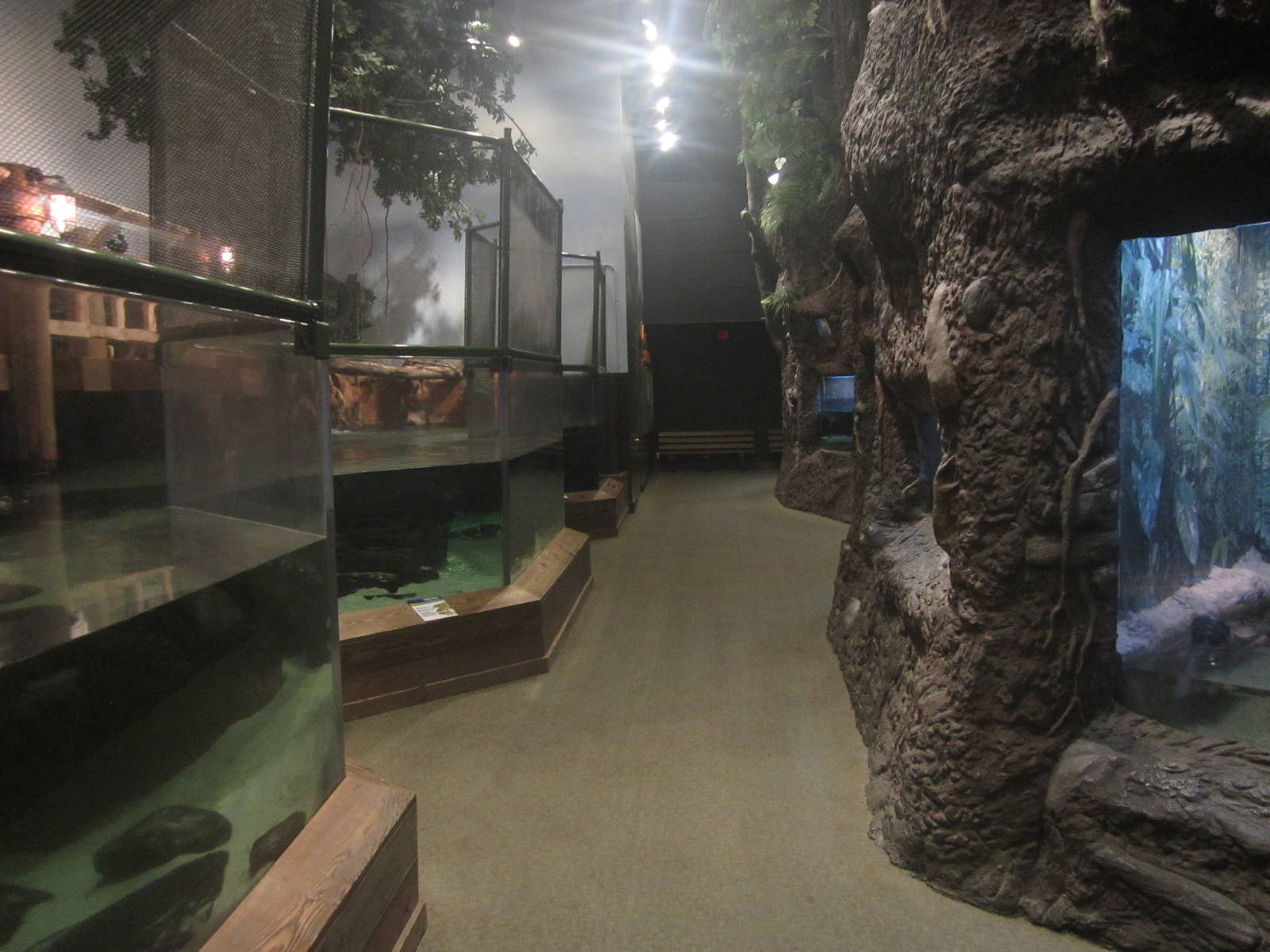 Nov. 2013 - Gator Alley