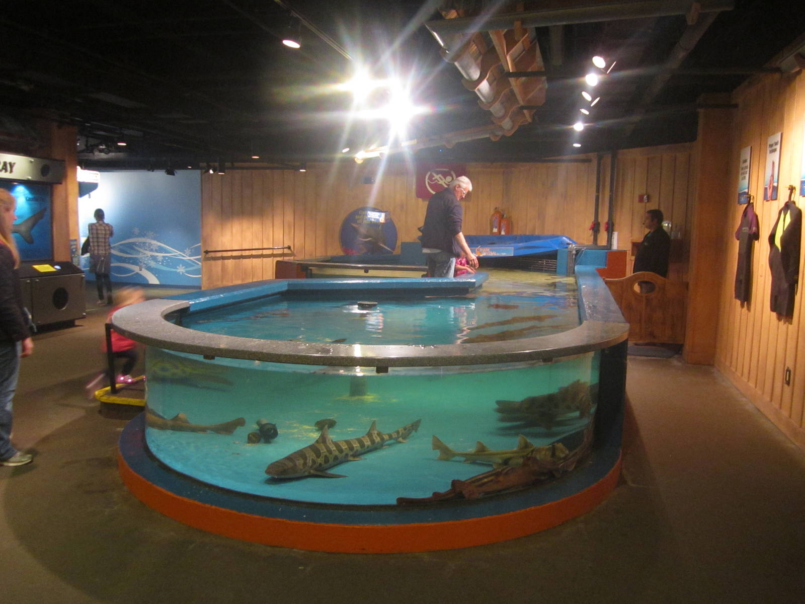 Nov. 2013 - Shark Central