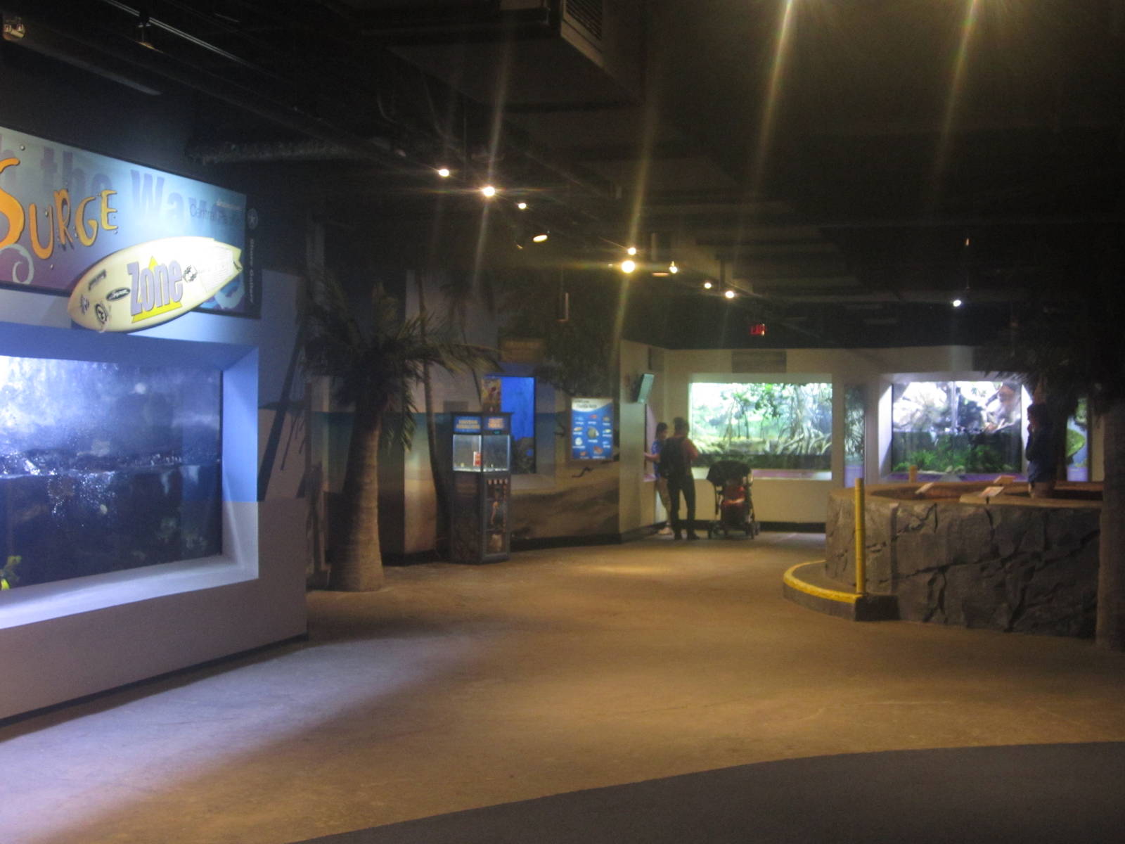 Nov. 2013 - Shore Gallery