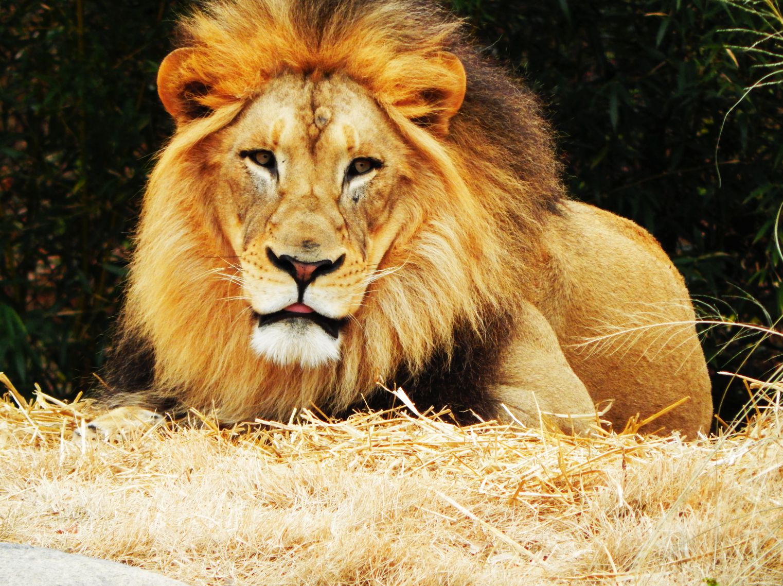 Nov. 2014 - Africa - John