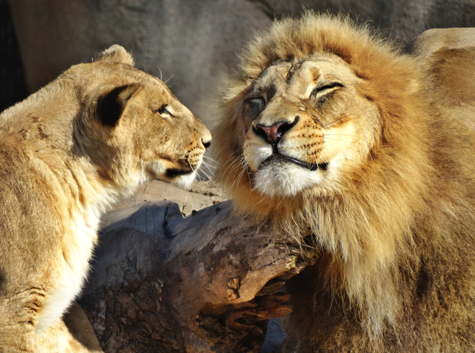 Nov. 2015 - Africa - John and his Daughter