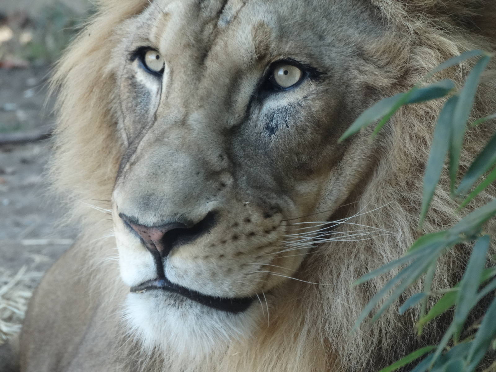 Nov. 2015 - Africa - John