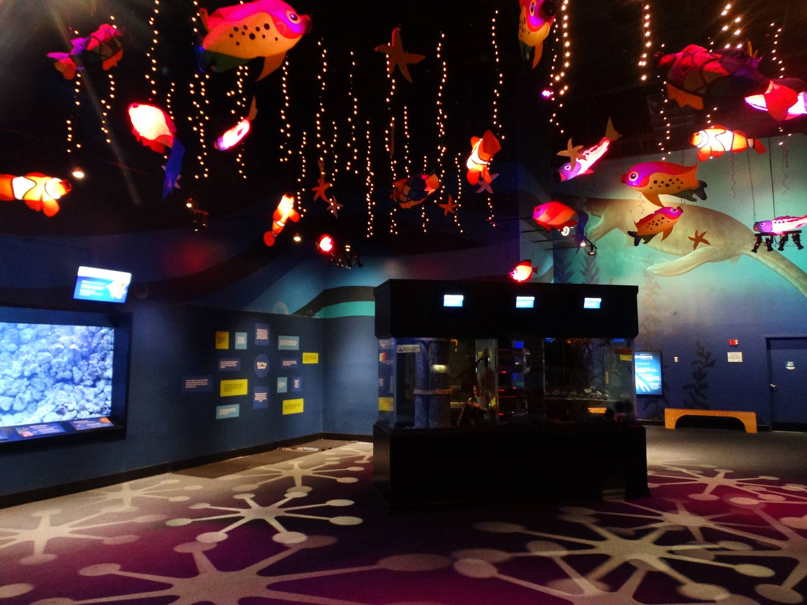 Nov. 2015 - Bizarre and Beautiful Gallery