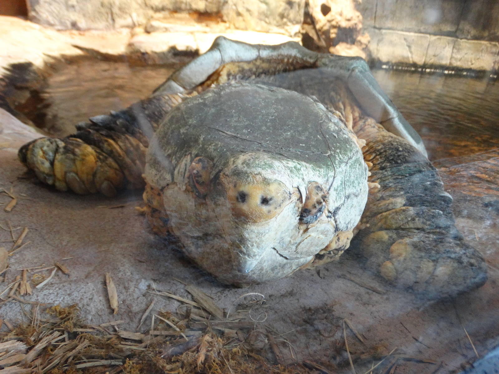 Nov. 2015 - Canyon Falls - Thunder....Out of Water?