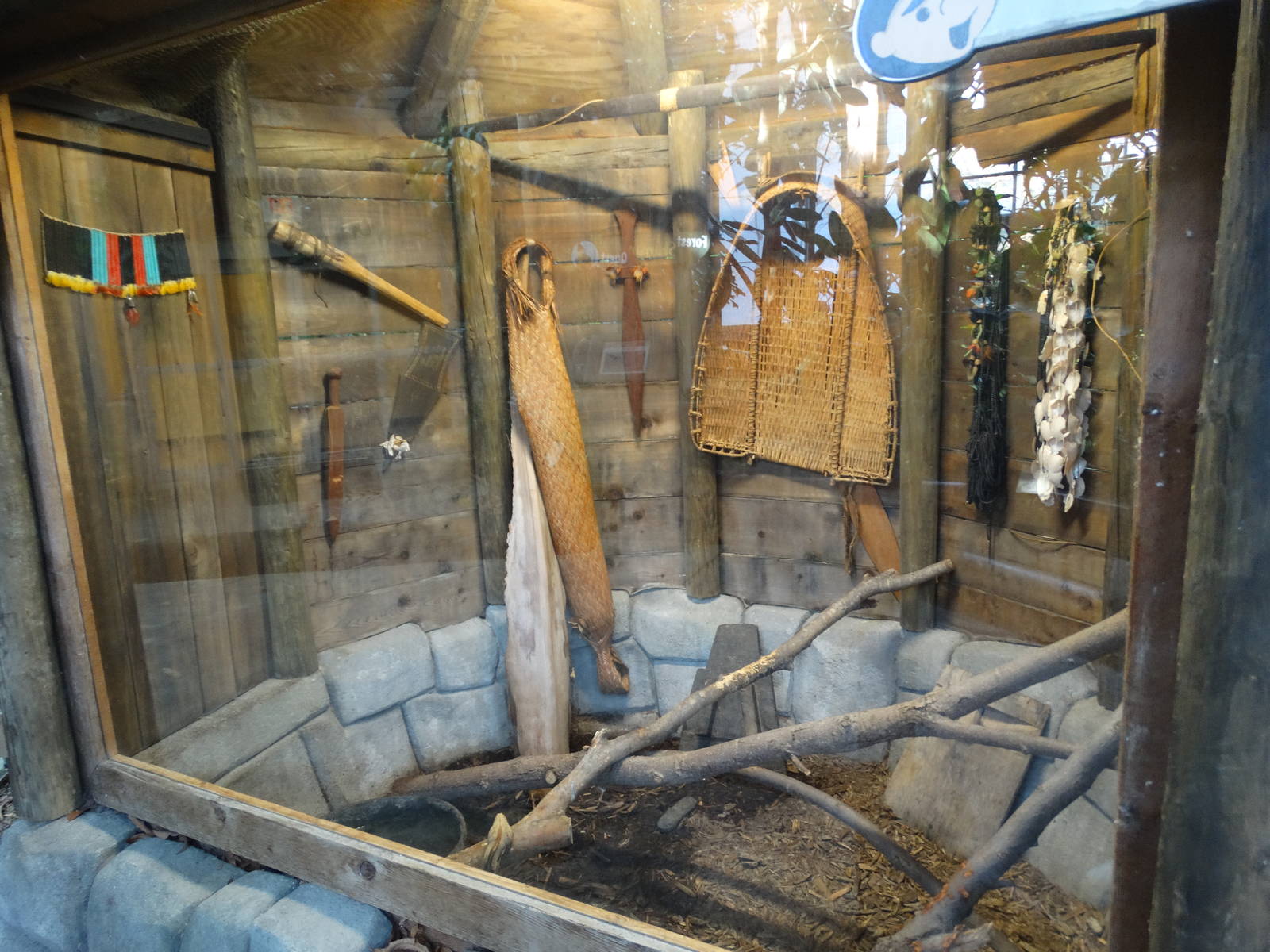 Nov. 2015 - Discovery Forest - Boa Constrictor Exhibit