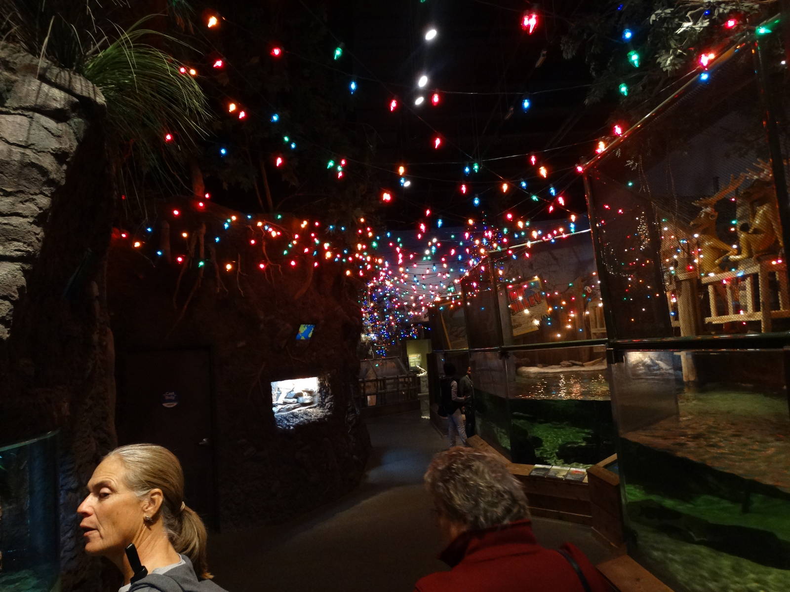 Nov. 2015 - Gator Alley