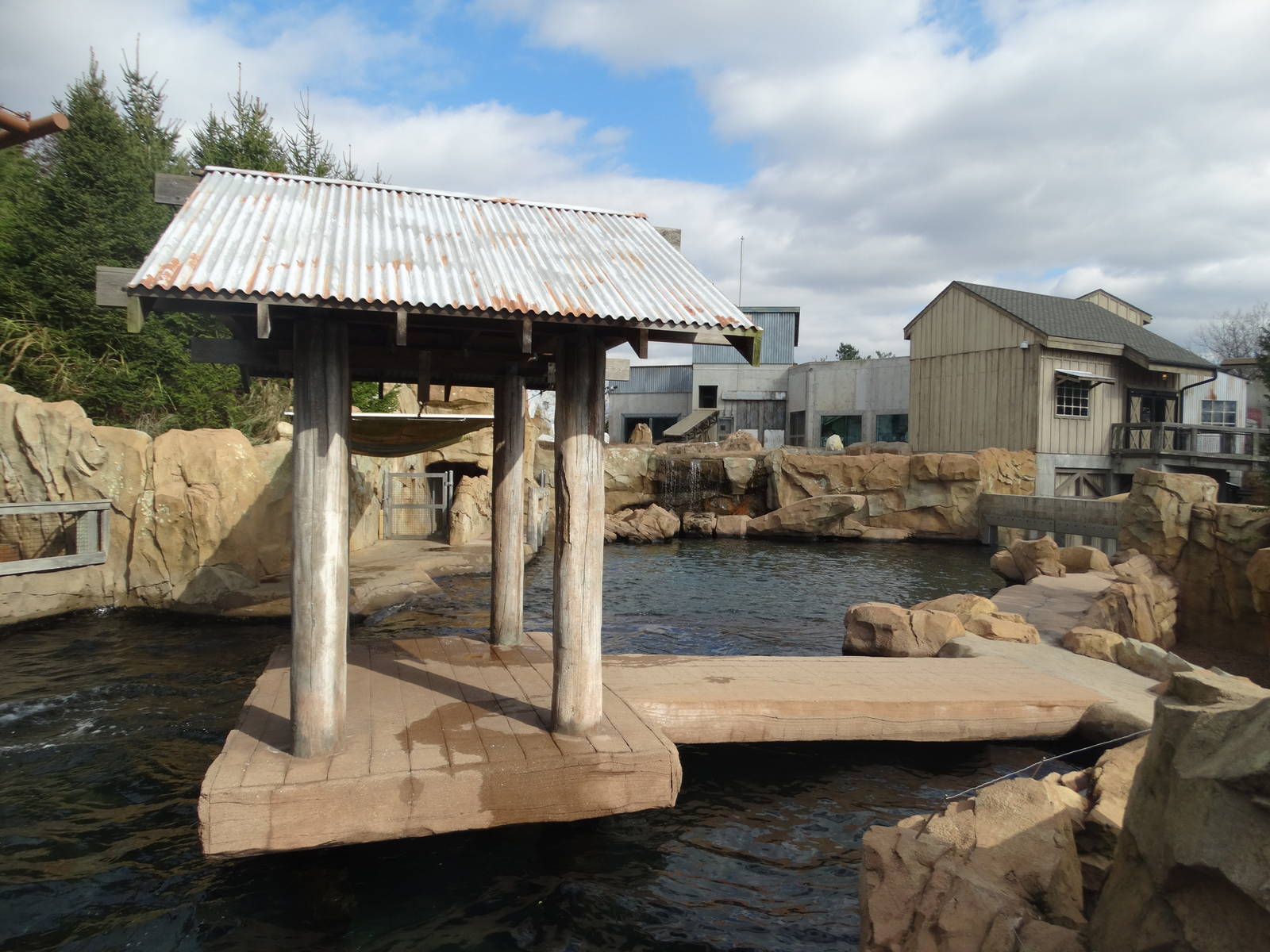 Nov. 2015 - Glacier Run - California Sea Lion + Harbor Seal Exhibit + Polar