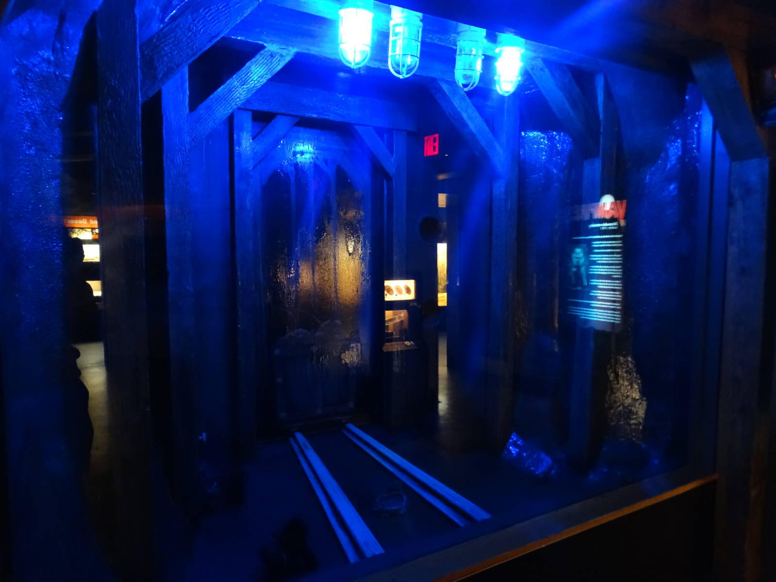 Nov. 2015 - HerpAquarium - Common Vampire Bat Exhibit