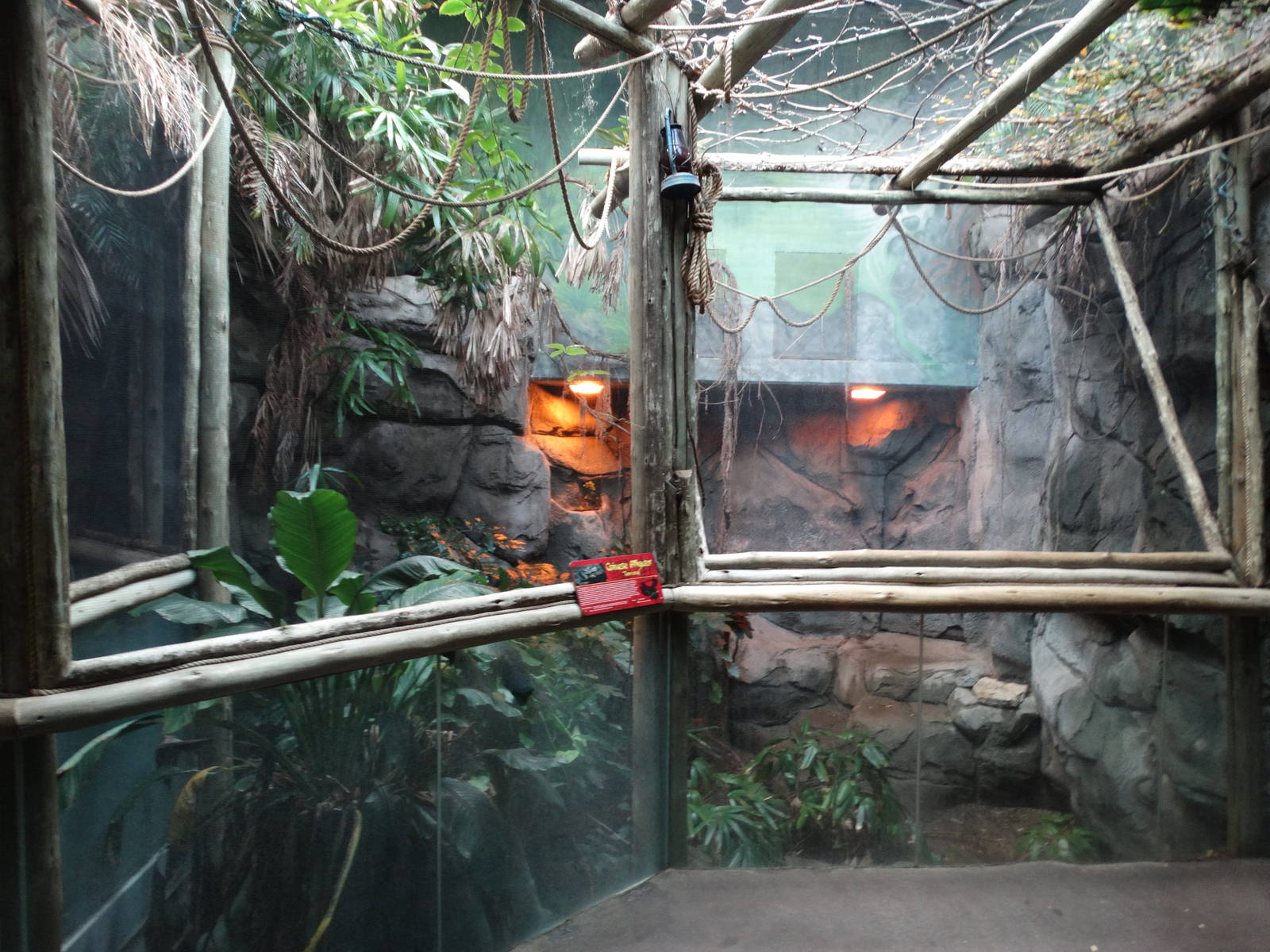 Nov. 2015 - HerpAquarium - King Louise - Chinese Alligator Exhibit