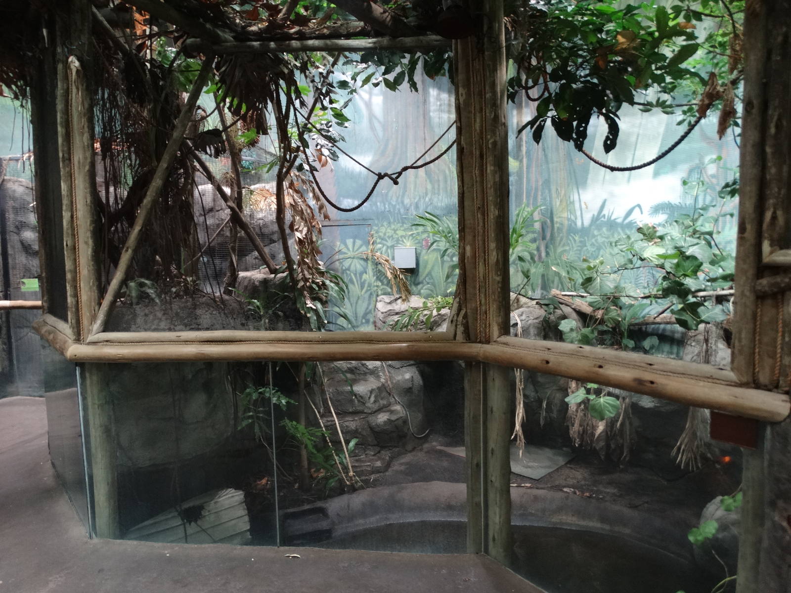 Nov. 2015 - HerpAquarium - King Louise's Exhibit