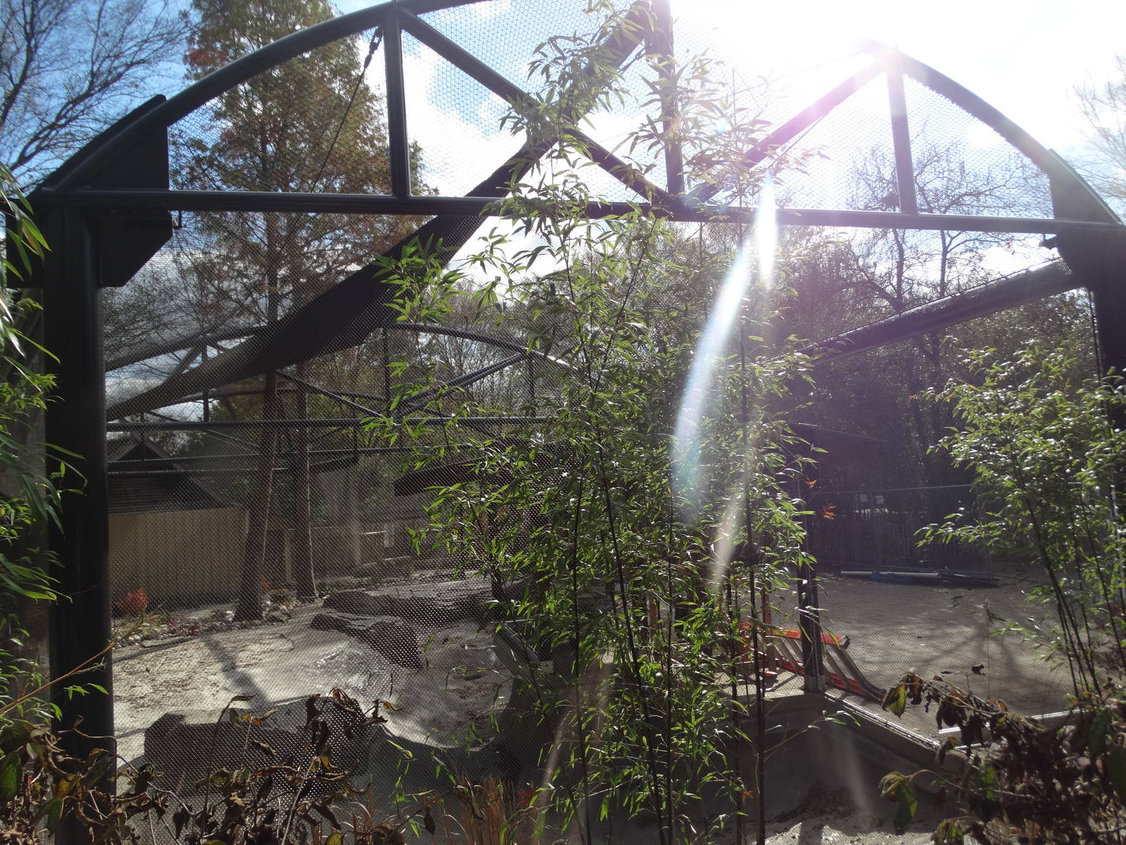 Nov. 2015 - Islands - Future Little Penguin Exhibit