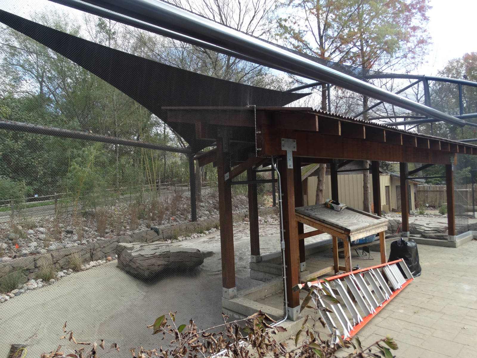 Nov. 2015 - Islands - Future Little Penguin Exhibit