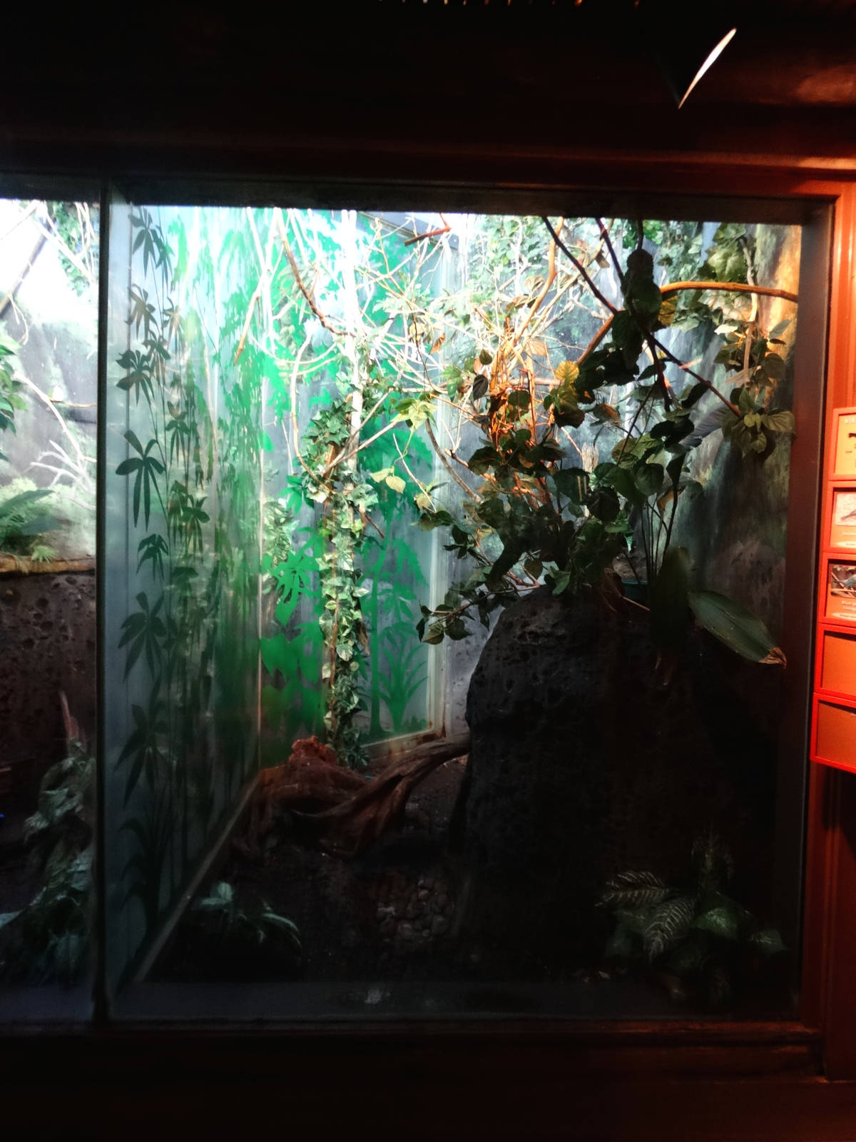Nov. 2015 - Islands Pavilion - Birds of the American Isles Exhibit (4 Speci