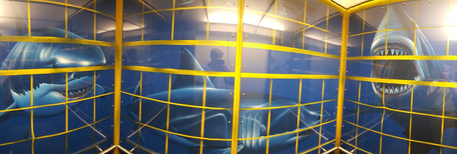 Nov. 2015 - Main Elevator Shark Cage Mural