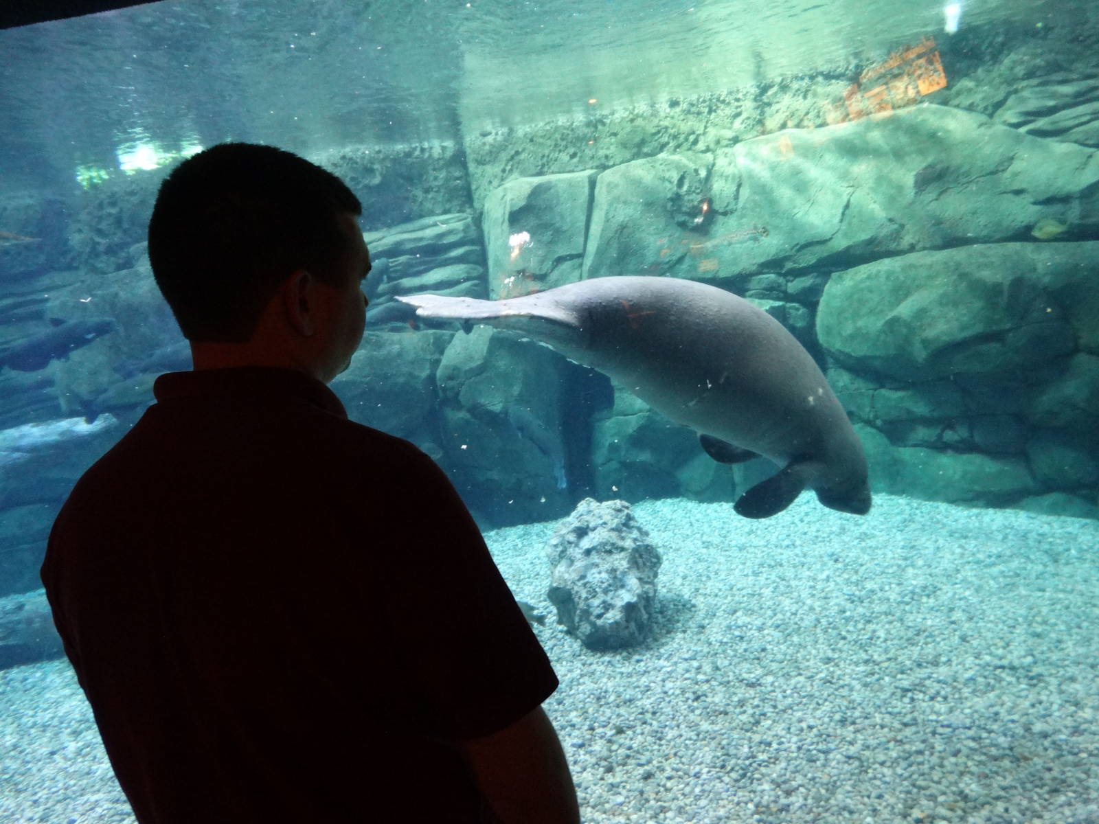 Nov. 2015 - Manatee Springs - BamBam