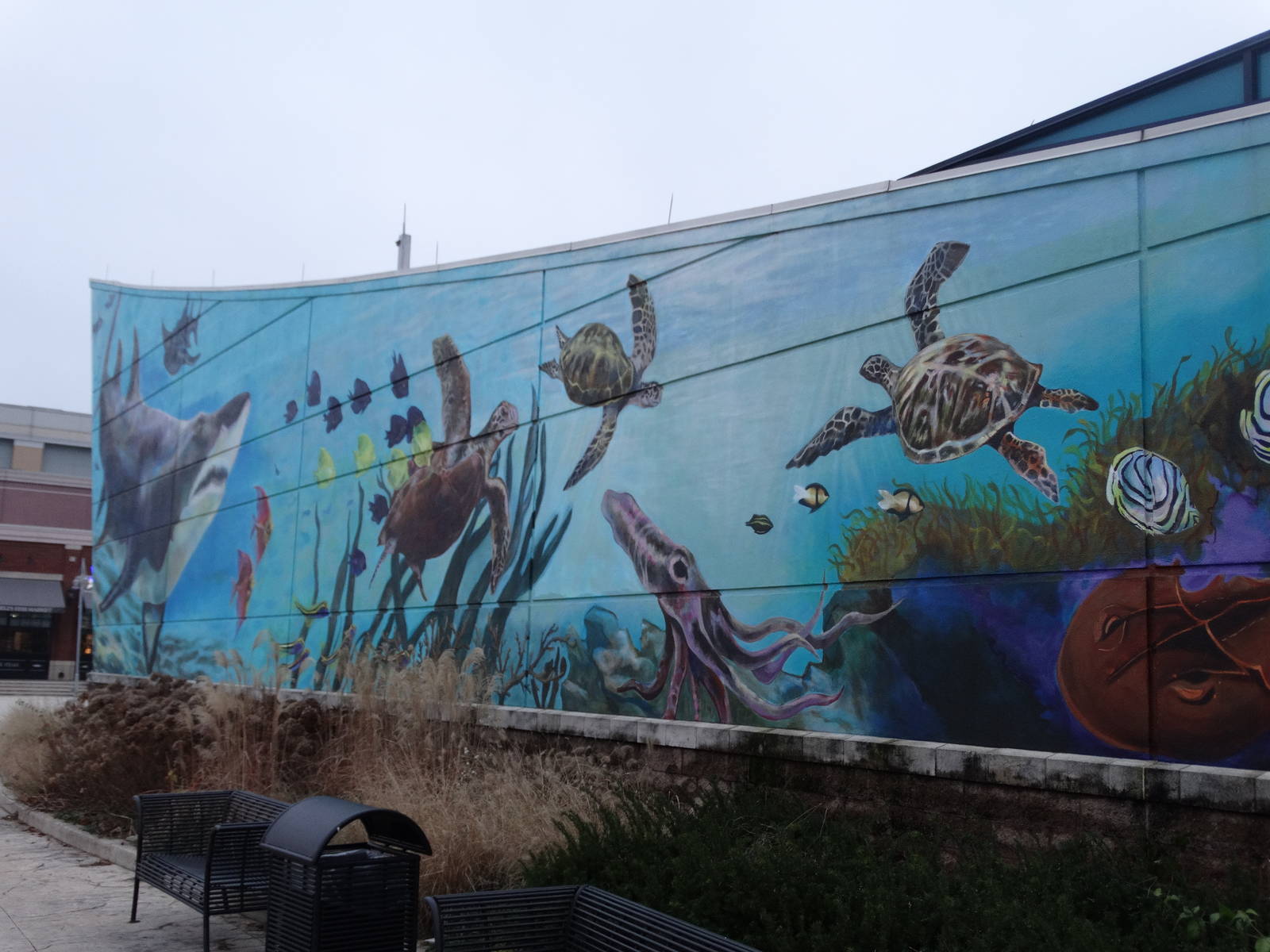 Nov. 2015 - New Aquarium Mural