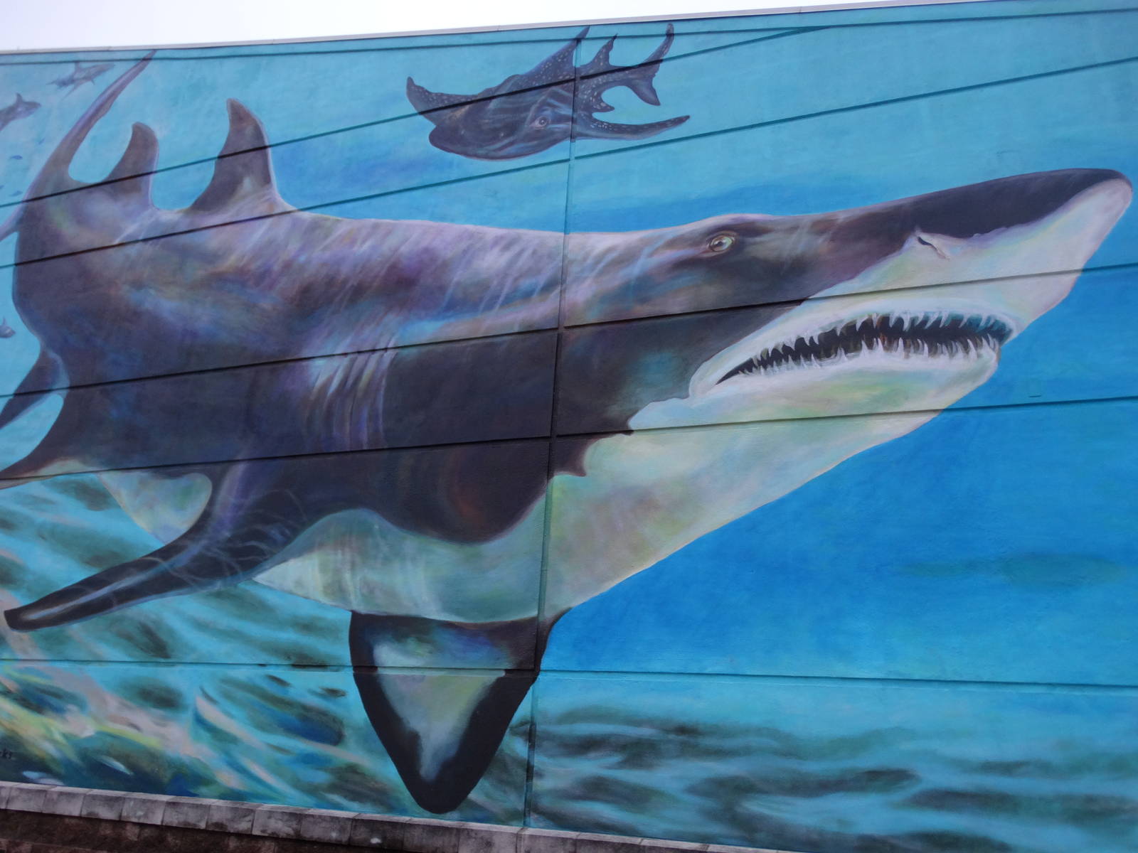 Nov. 2015 - New Aquarium Mural