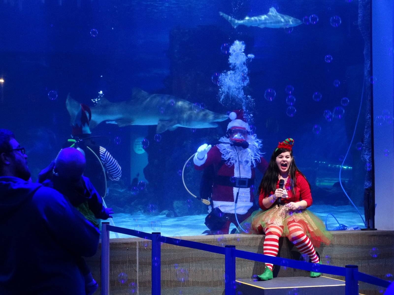 Nov. 2015 - Shark Ray Bay Theater - Scuba Santa