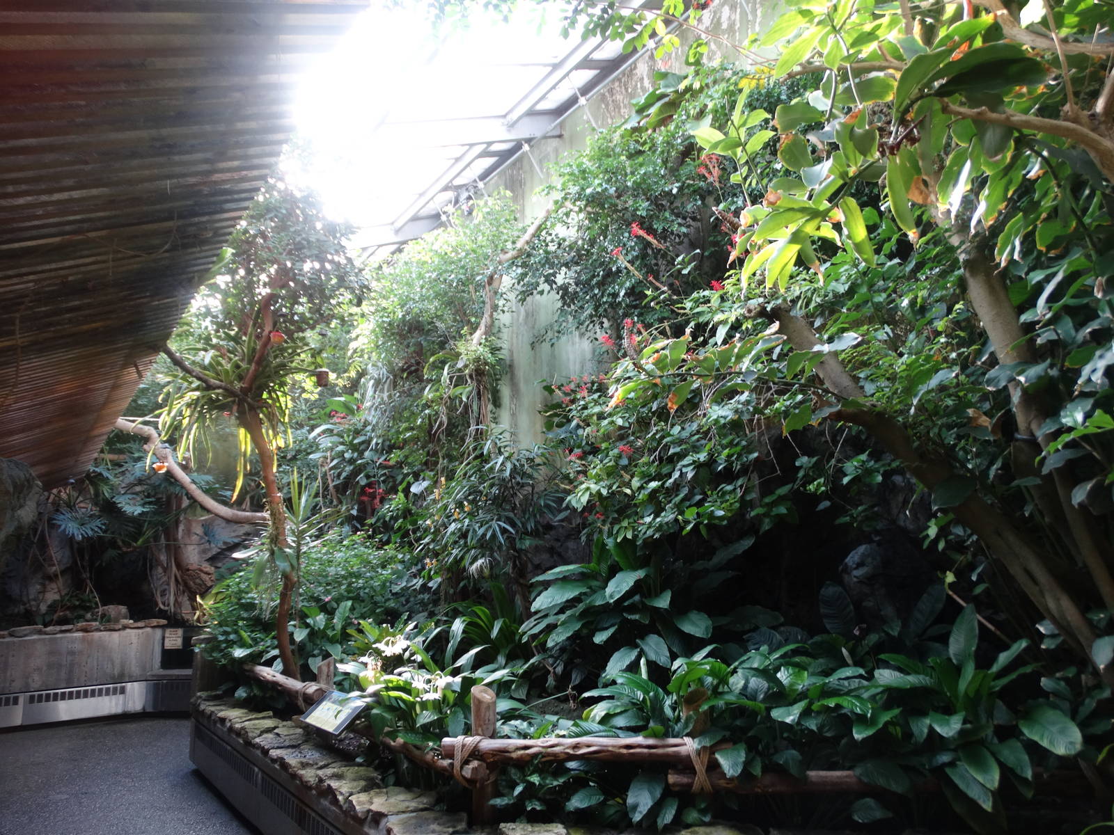 Nov. 2015 - World of the Insect - Butterfly Aviary