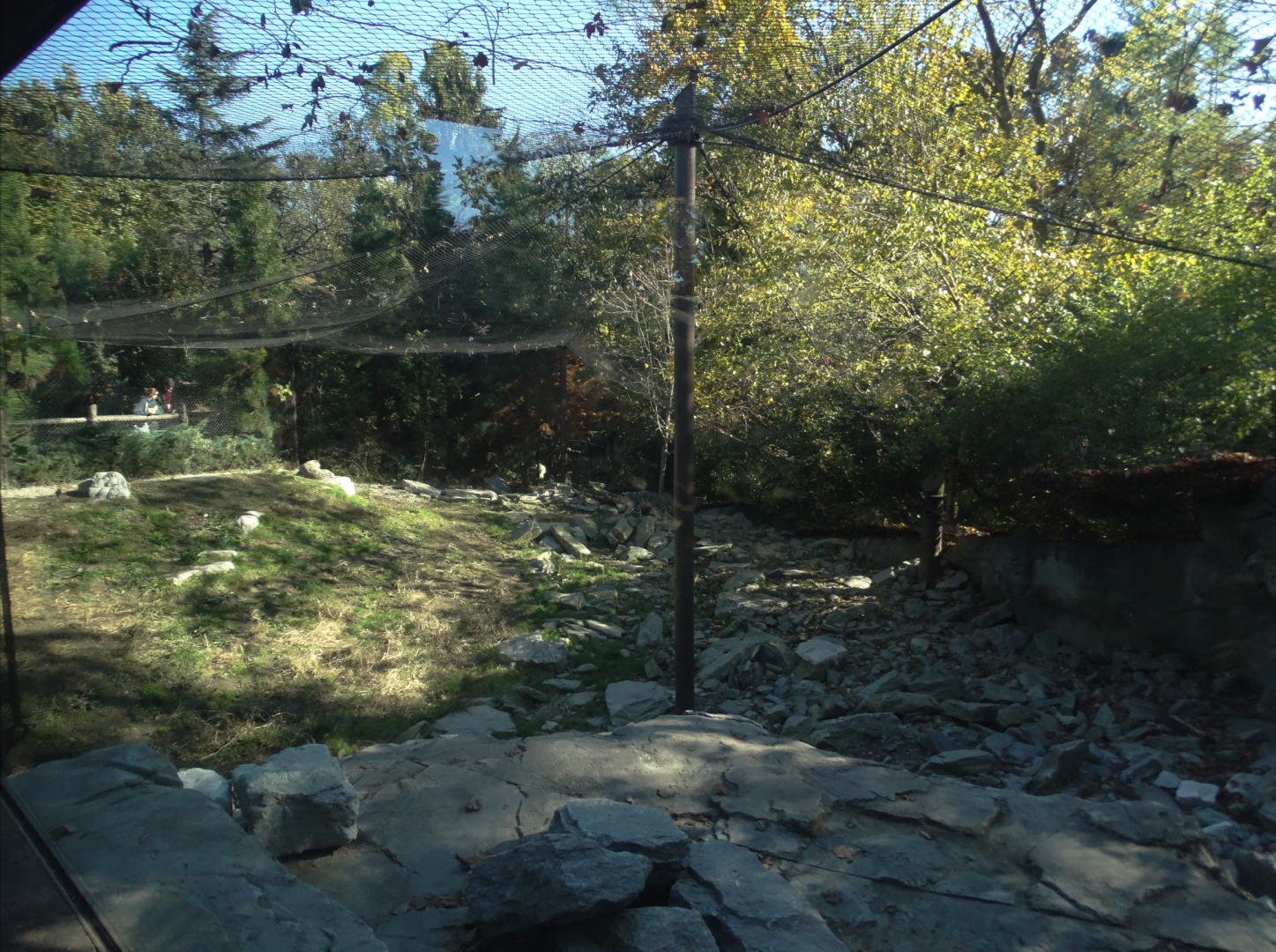 Nov. 2016 - Cat Canyon - Snow Leopard Exhibit