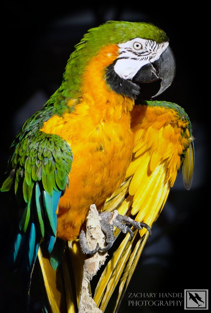 Nov. 2016 - Discovery Forest - Leroy