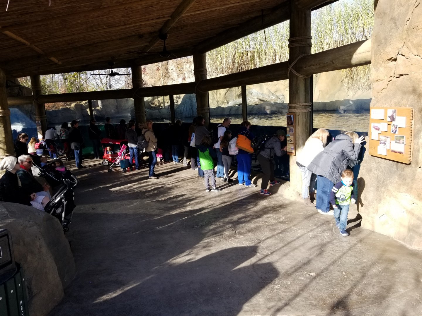 Nov. 2017 - Africa - Fiona's Crowd