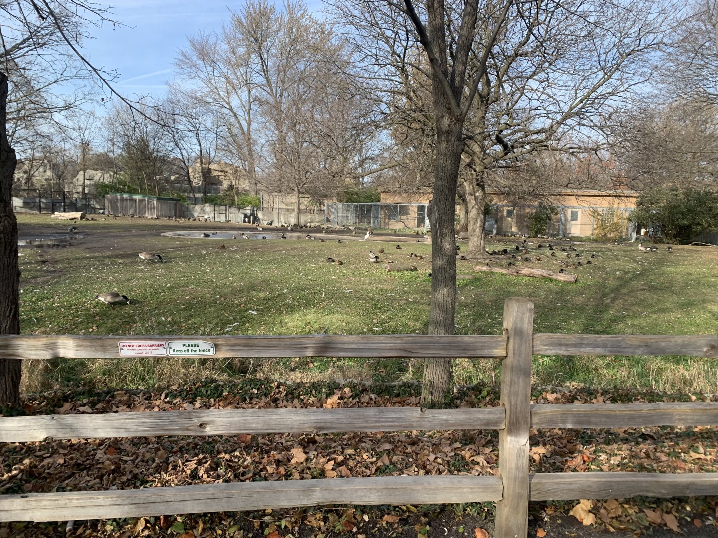 Nov. 2021- “African” bird exhibit