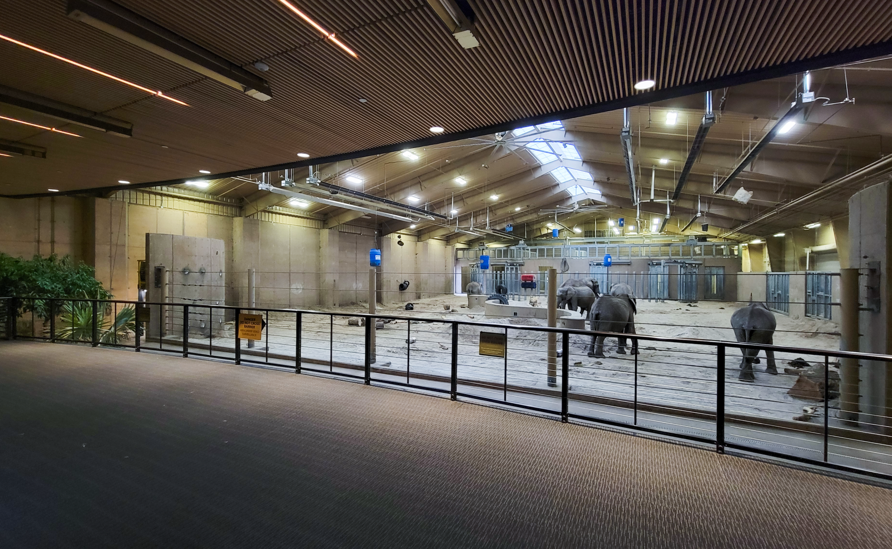 Nov. 2021 - African Grasslands - Indoor Elephant Exhibit
