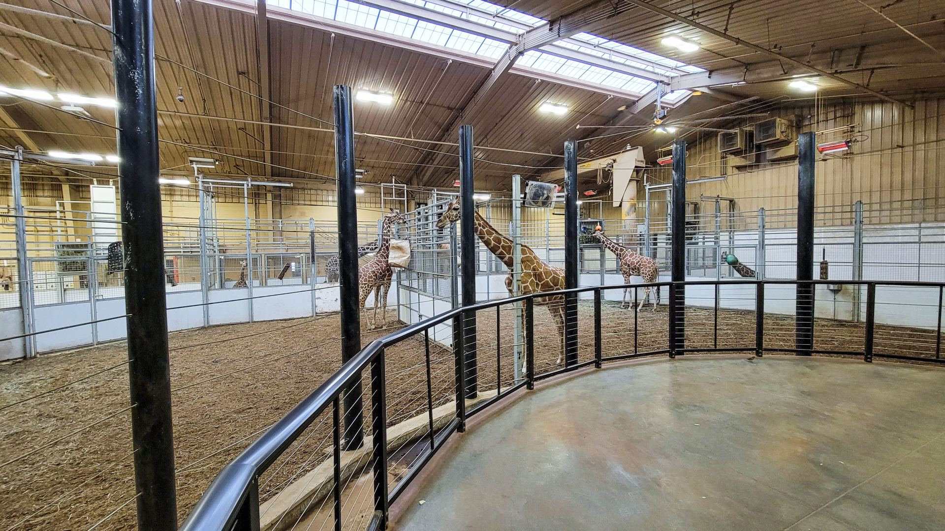 Nov. 2021 - African Grasslands - Indoor Giraffe Exhibit