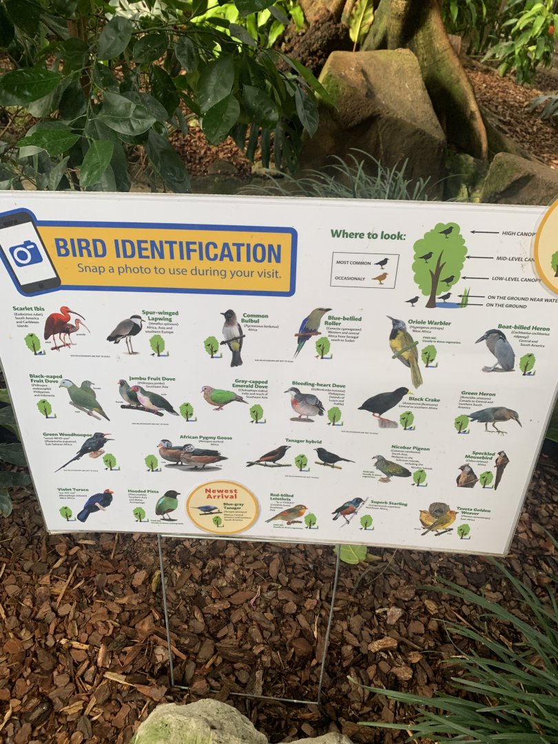 Nov. 2021- Aviary signage