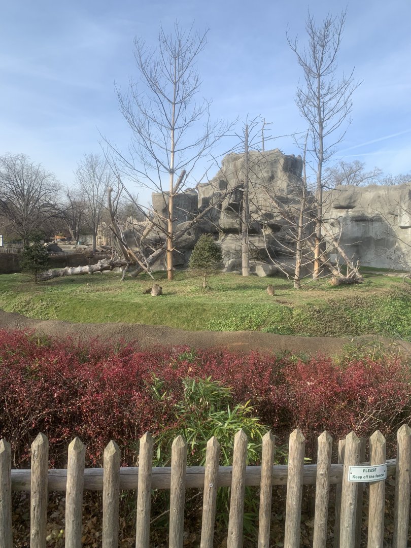 Nov. 2021- Japanese macaque exhibit
