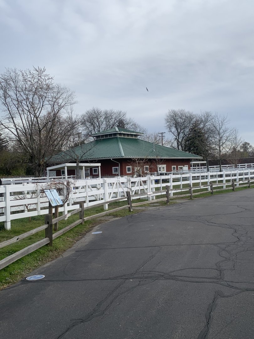 Nov. 2021- Zoo Barn