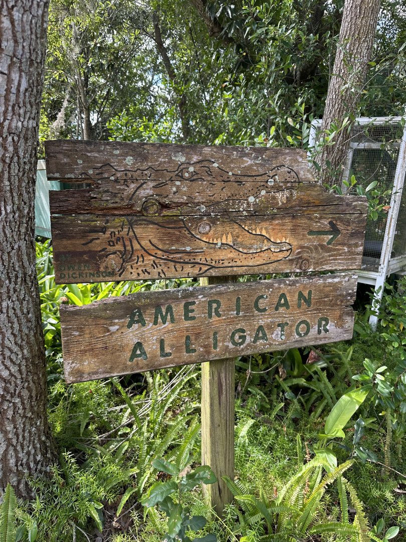 Nov. 2025 - Alligator Sign