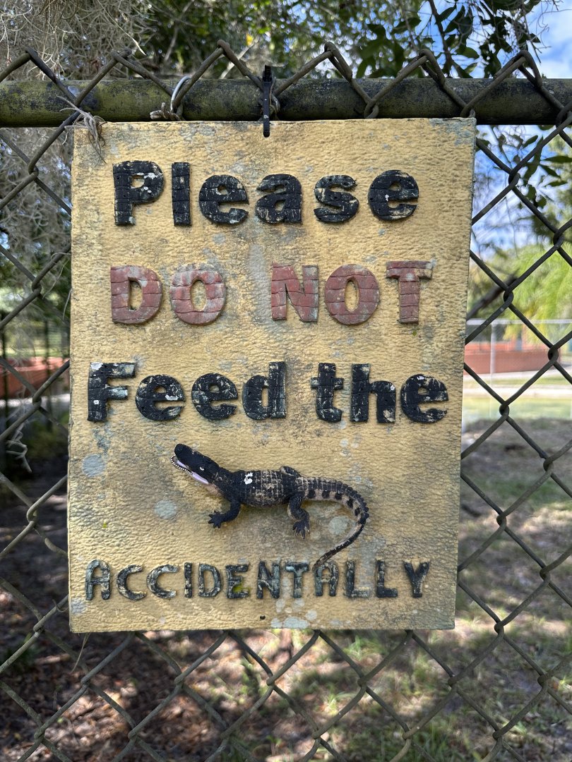 Nov. 2025 - Alligator Signage