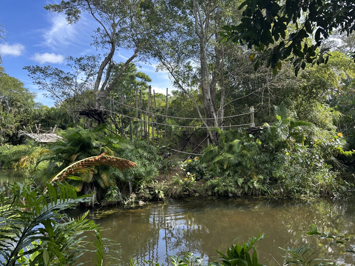Nov. 2025 - Black-and-White Ruffed Lemur Island