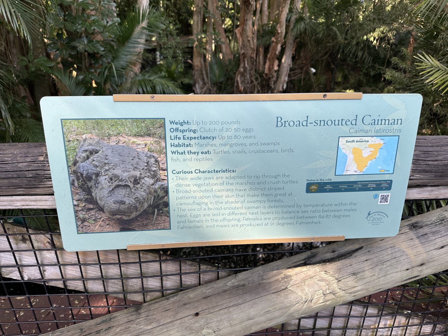 Nov. 2025 - Caiman Signage